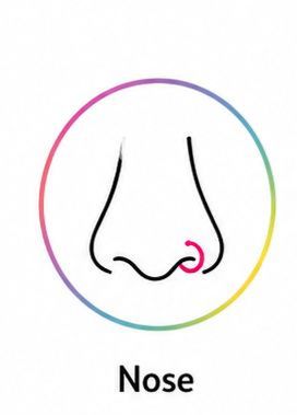 Collection image for: Nose