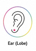 Ear