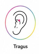 tragus